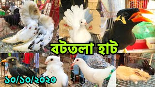 একটি ময়নার দাম ২৫০০০ টাকা | পাখি ও কবুতরের দাম জানুন | বটতলা হাট | Bottola Kobutor Haat #167