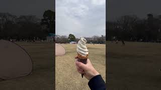 ソフトクリーム🍦バニラ　春