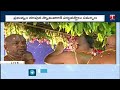 తాళికట్టు శుభవేళ sri seetharamula kalyanam badrachalam t news