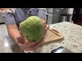 Cherimoya Tasting: ORTON Cherimoya.