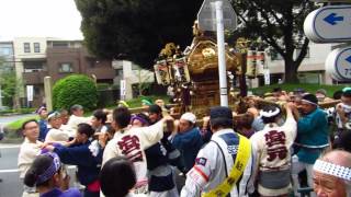 王子 七社神社御祭礼 2015  宮元神輿巡行  七社神社付近