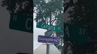 Decoding the Letter U: Cayuga & English Language Quirks!