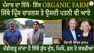 ਜੈਵਿਕ ਖੇਤੀ ਲਈ ਭਾਰਤ ਸਰਕਾਰ ਵਲੋਂ ਮਿਲਿਆ ਐਵਾਰਡ | Hansali Organic Farm | V Punjabi | Kuldeep Jayia