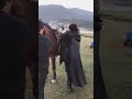 xiao zhan 肖战 fancam bts for 《狼殿下》