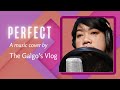 Perfect (Ed Sheeran) Song Cover by:The Galgo's Vlog