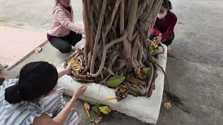 来泰国寺庙祈福，这风俗和中国完全不一样，每一种习俗都值得尊重