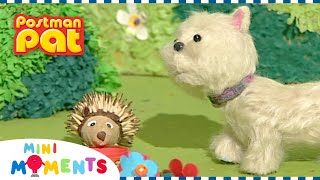 Bonnies New Friends! | Postman Pat | 1 Hour of Full Episodes | Mini Moments