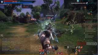 TERA Gameplay Review - HD