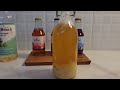 kombucha ใช้ ผลไม้ กับไซรัป ทำ f2 รสชาดจะดีมั๊ย..