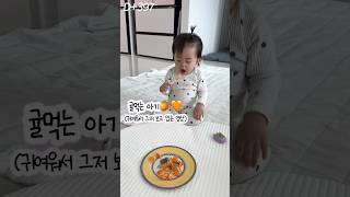 (귀여워ㅠ)귤먹는 아기🍊🧡 #baby #babyshorts #아기 #육아 #돌아기 #귀여운아기 #cute #cutebaby #babyboy #13개월아기