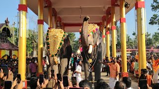 കാളിയുടെ ഈ സീസണിലെ ആദ്യ മത്സരം | Cherai Thalapokkam 2020 Kerala Elephants