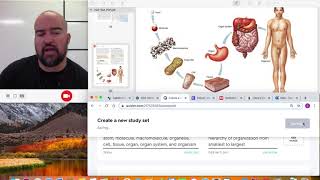 Anatomy Quizlet Tutorial