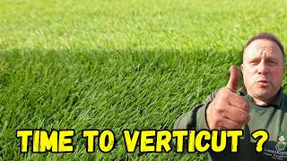 Getting ready to verticut already?