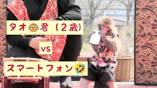 タオ🐵君 vs スマートフォン🤣　猿まわし🐵💝　二助企画