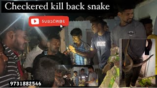 Just rescued: checkered kill back snake #umeshusg #india #snake #fullvideo #youtubechannel #full