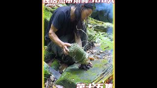 第十五集丨荒野求生，狩猎的陷阱究竟需要如何设置