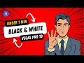 Vegas Pro 19: How to Make Black and White video in Vegas Pro