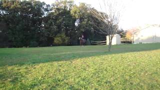 M4H07541.MP4