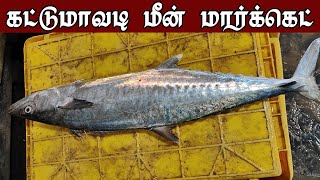 மீன் ஏலம் விடும் நேரடி கட்சி கட்டுமாவடி மீன் மார்க்கெட் || Fish auction Kattumavadi Meen Market