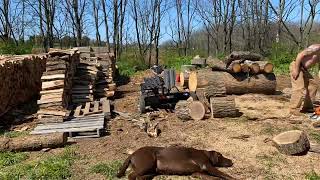 Time lapse cutting splitting and stacking one cord of wood