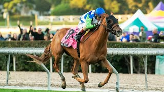 SHE FEELS PRETTY wins the G1 American Oaks