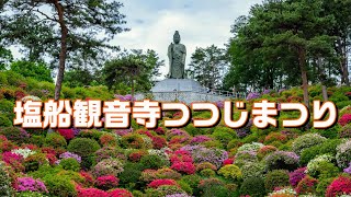 4K  塩船観音寺つつじまつり #つつじまつり #塩船観音寺