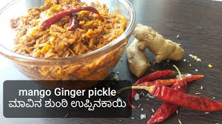 ಮಾವಿನ ಶುಂಠಿ ಉಪ್ಪಿನಕಾಯಿ (ತೊಕ್ಕು) healthy pickle mango ginger pickle/ white turmeric pickle or thokku