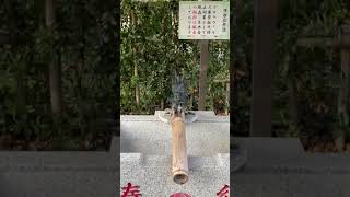 埼玉県和光市【下新倉氷川八幡神社】