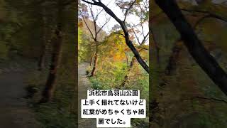 浜松市鳥羽山公園　#公園 #浜松市 #紅葉  #癒し #穴場