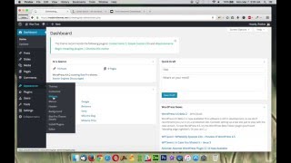 Rise Pro - Skill Bars Widget