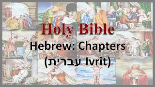 AudioBible：Hebrew：27 Psalms 27 Psa 057