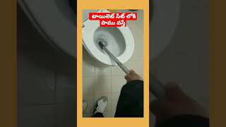 టాయిలెట్ సీట్ లోకి పాము వస్తే Snake in Toilet shocking facts in telugu #shorts