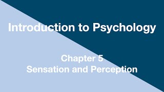 Introduction to Psychology - Chapter 5 - Sensation and Perception