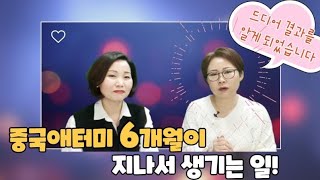 드디어 그 날이 왔습니다! 중국애터미 최초로 교☆통☆정☆리의 날(feat)