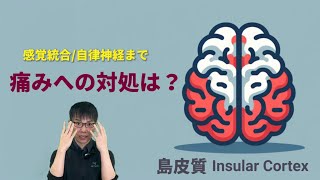 【☑自律神経障害 痛み 治療】島皮質 脳機能 /内臓感覚/Insula【第15回】臨床脳科学 リハビリ