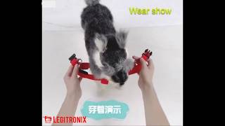 Rechargeable LED Nylon Pet Dog Cat Harness Led Flashing Light