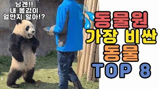 동물원에서 가장 비싼 동물 TOP8