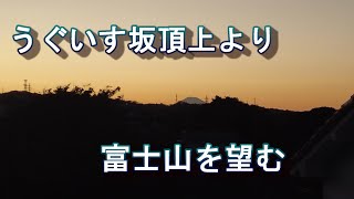 横須賀　ヨゼフ病院裏から山の尾根道を歩きました