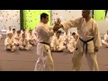 technique workshop 30 seiunchin bunkai counts 14 15