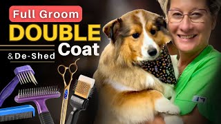 Watch This Before Grooming Any Double-Coated Dog - Full Sheltie Lesson