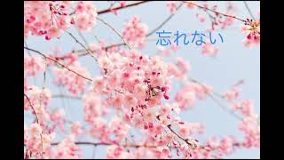 『忘れない』作詞作曲／渡邊知子　弾き語り　シンガーソングライター 幼稚園卒園のときの歌　歌ってみた