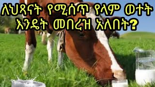 ለህፃናት የላም ወተት ስናዘጋች እንዴት መበረዝ አለበት?