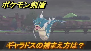 ポケモン剣盾　ギャラドスを捕まえる方法！オススメの場所は？天気は？ポケモン図鑑コンプへの道！　最新版【ポケモンソード・シールド】