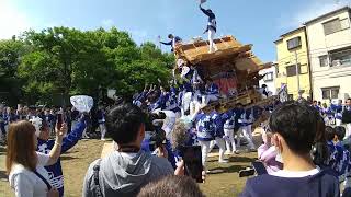 【HD高画質】西板持 化粧幕お披露目曳行 だんじり 2 南河内だんじり祭 板茂神社 令和5年 2023年‎5月‎21日