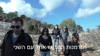 רעיונות ליום כיף   טיול רגלי