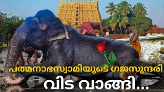 മതിലകം ദർശിനി ആന വിടവാങ്ങി 🌹😢  Mathilakam Darshini | Kerala elephant Died | elephant video