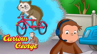 The Hamster Hunt!  🐵 Full Episodes 🐵 Curious George 🐵 Kids Cartoon 🐵 Kids Movies