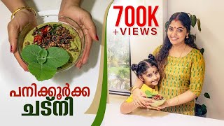 Panikoorka Chutney | പനിക്കൂർക്ക ചട്നി  | Rimi Tomy Official