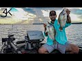 Grenada Lake Crappie Fishing (LIVESCOPE)