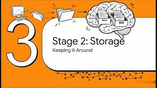 What Is Memory? Encoding, Storage & Retrieval Explained (GCSE Psychology)